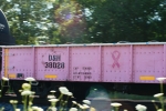 D&H #38028 'Breast Cancer Awareness' house gondola