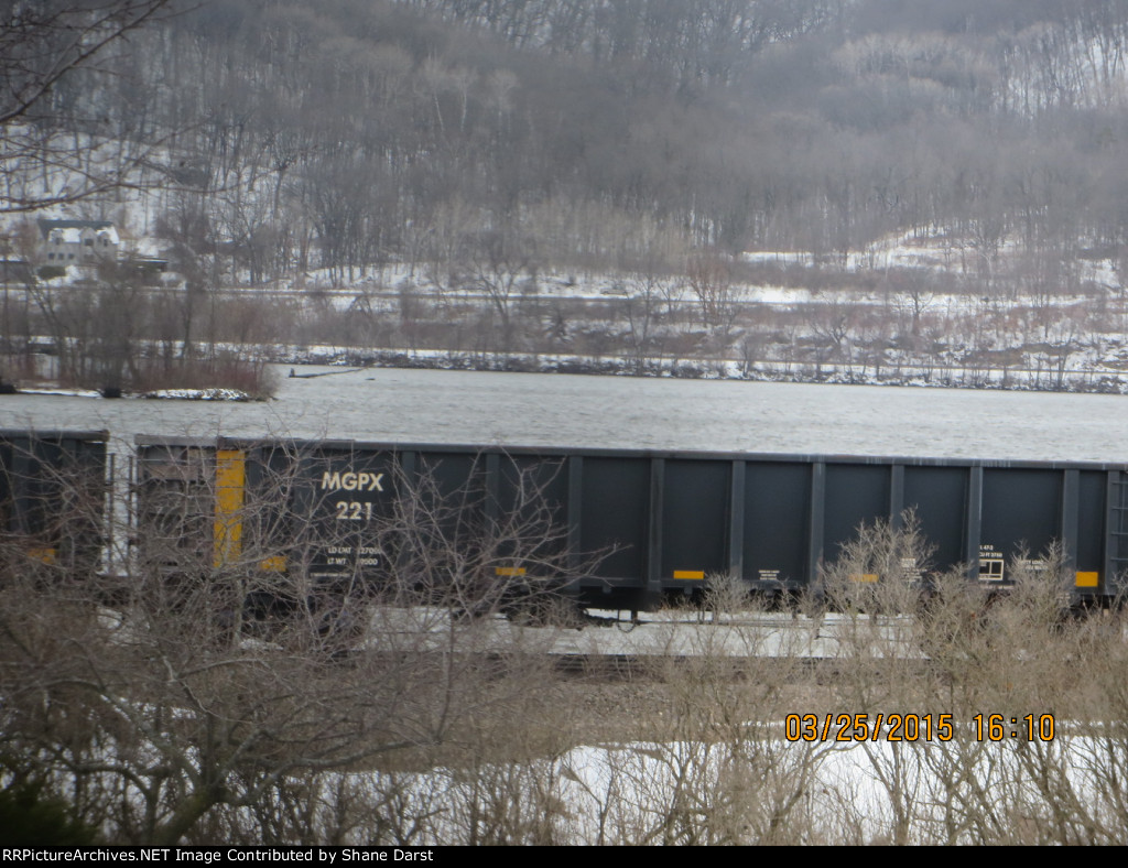 MGPX 221
