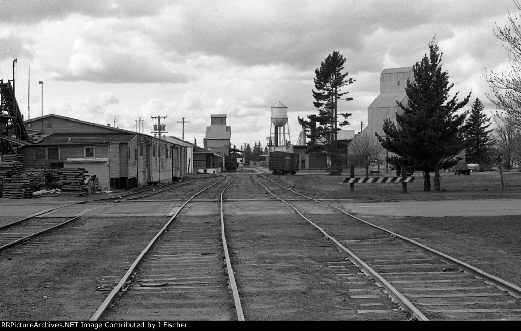The Lynden yard, looking west