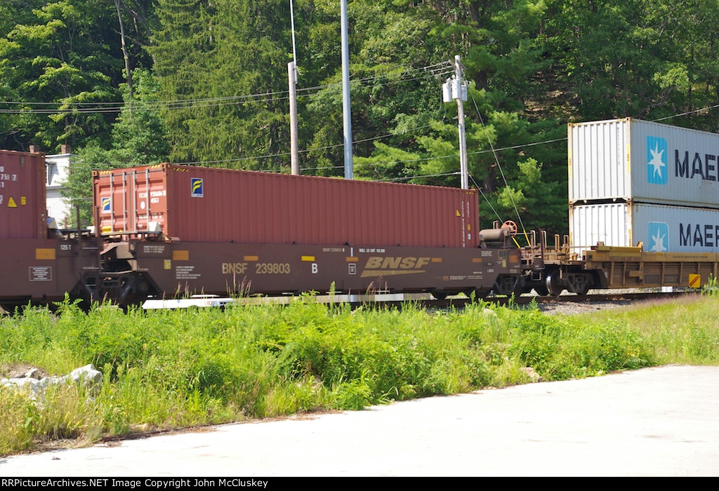 BNSF 239803