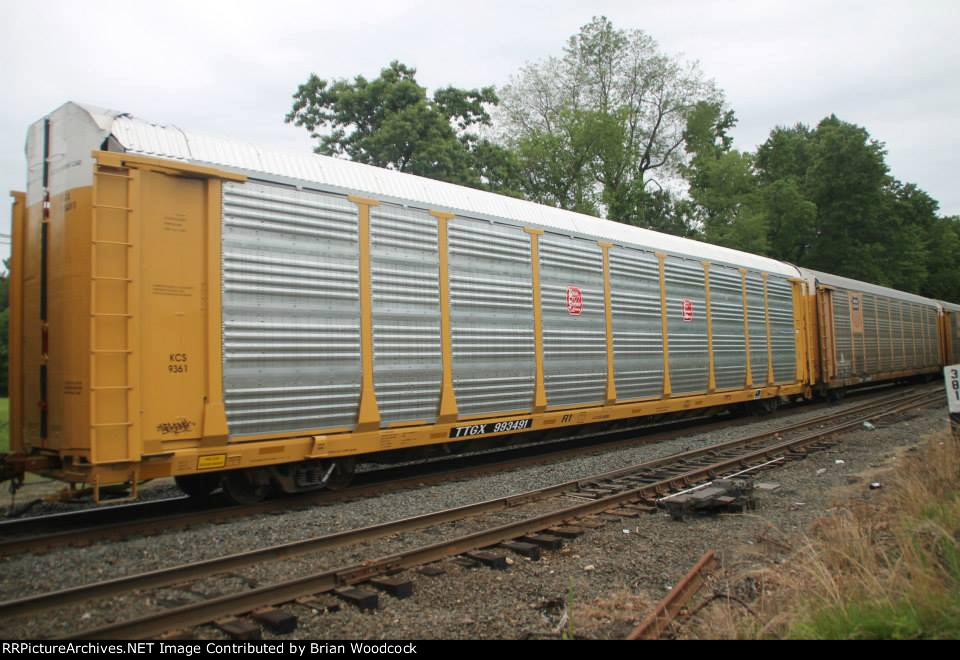 TTGX 993491