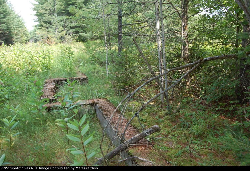 Brandreth Station Foundation.