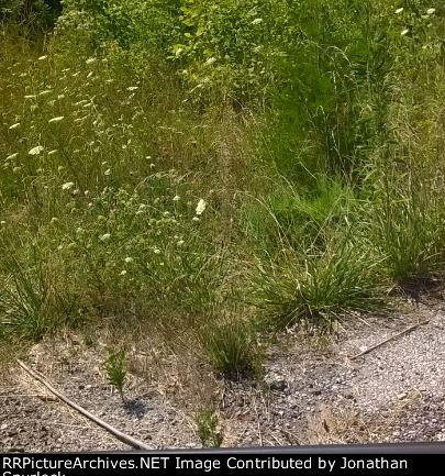 Ex-KCS right of way looking south