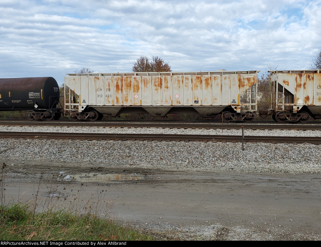 CRDX 312423
