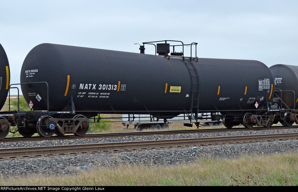 NATX 301313