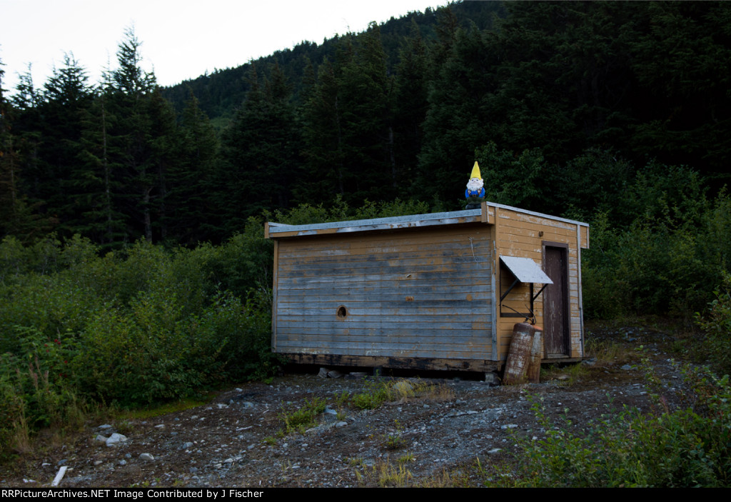 Go and smell the roses!