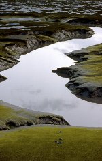 Turnagain Arm mud flats