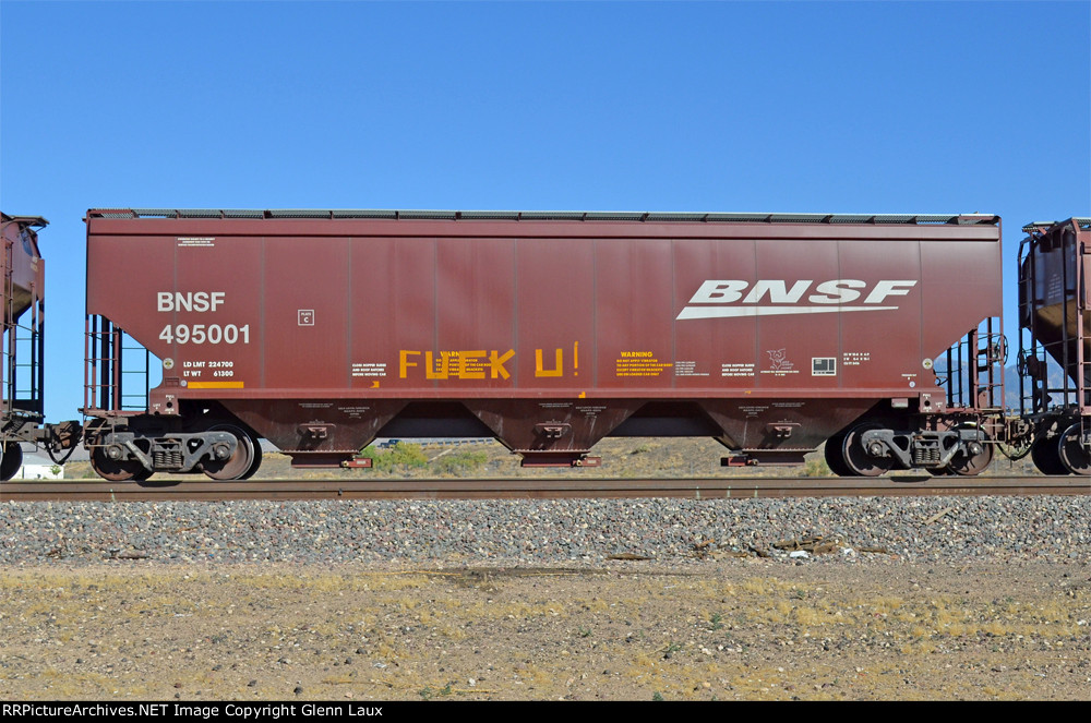 BNSF 495001