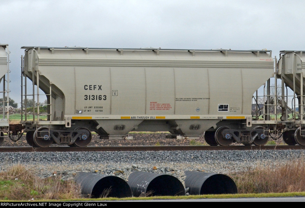 CEFX 313163