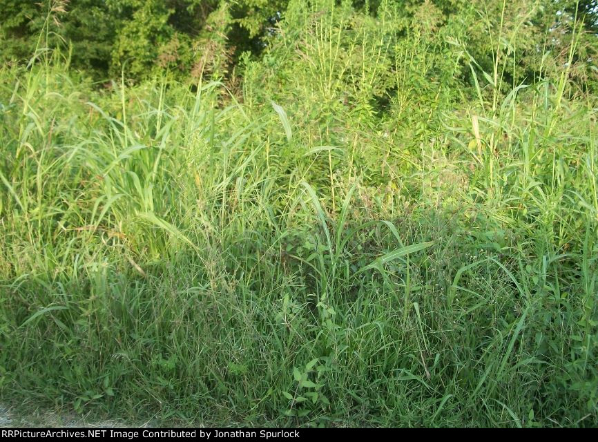 Abandoned right of way