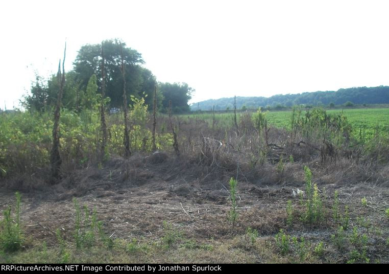 Abandoned right of way, looking west