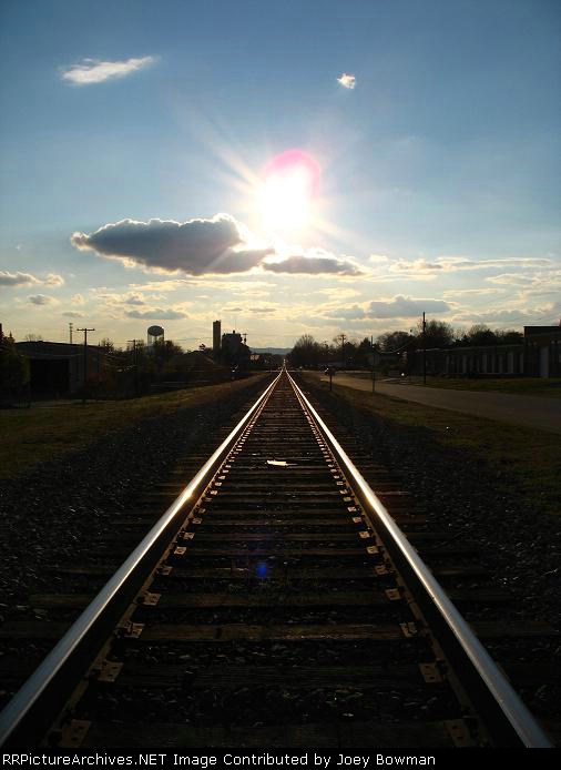 Hickory, looking west