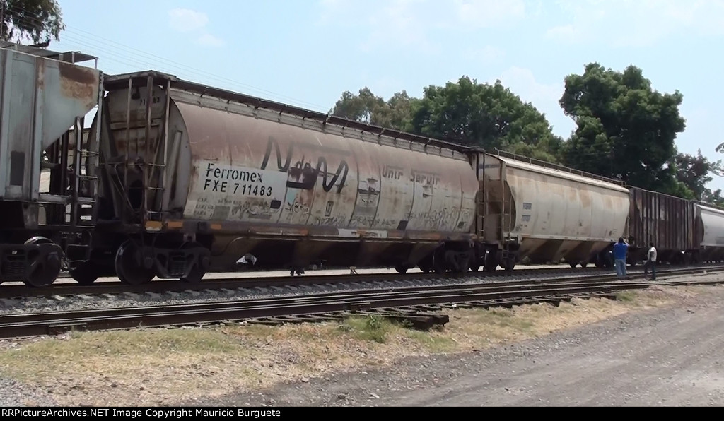 Ferromex covered hoppers