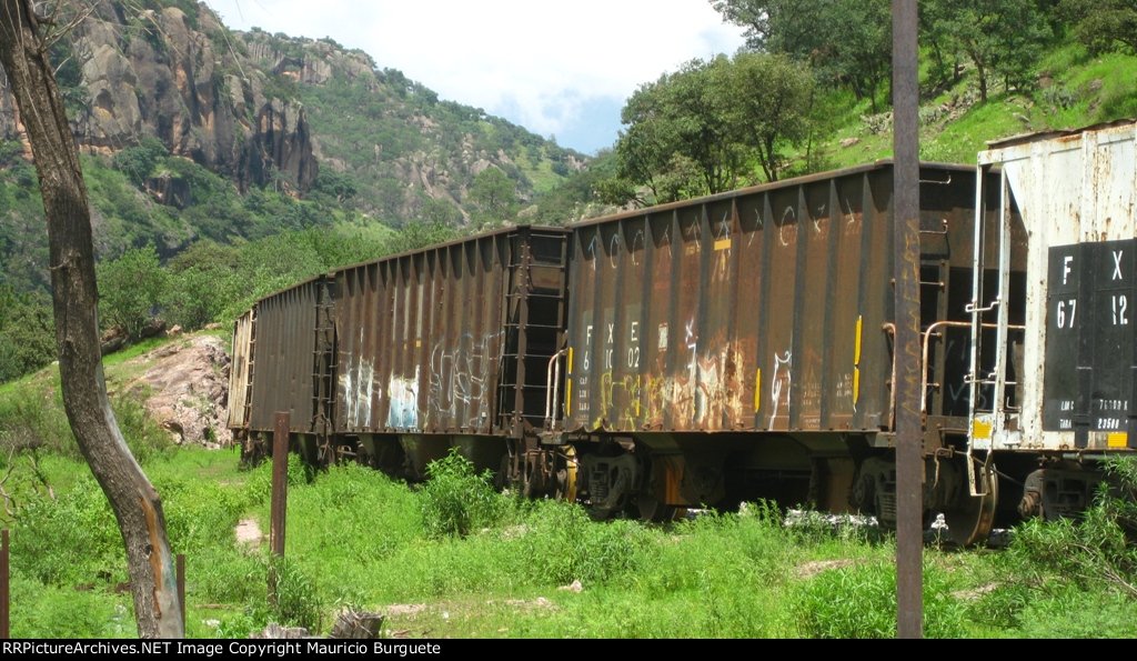 Hoppers in the mountains