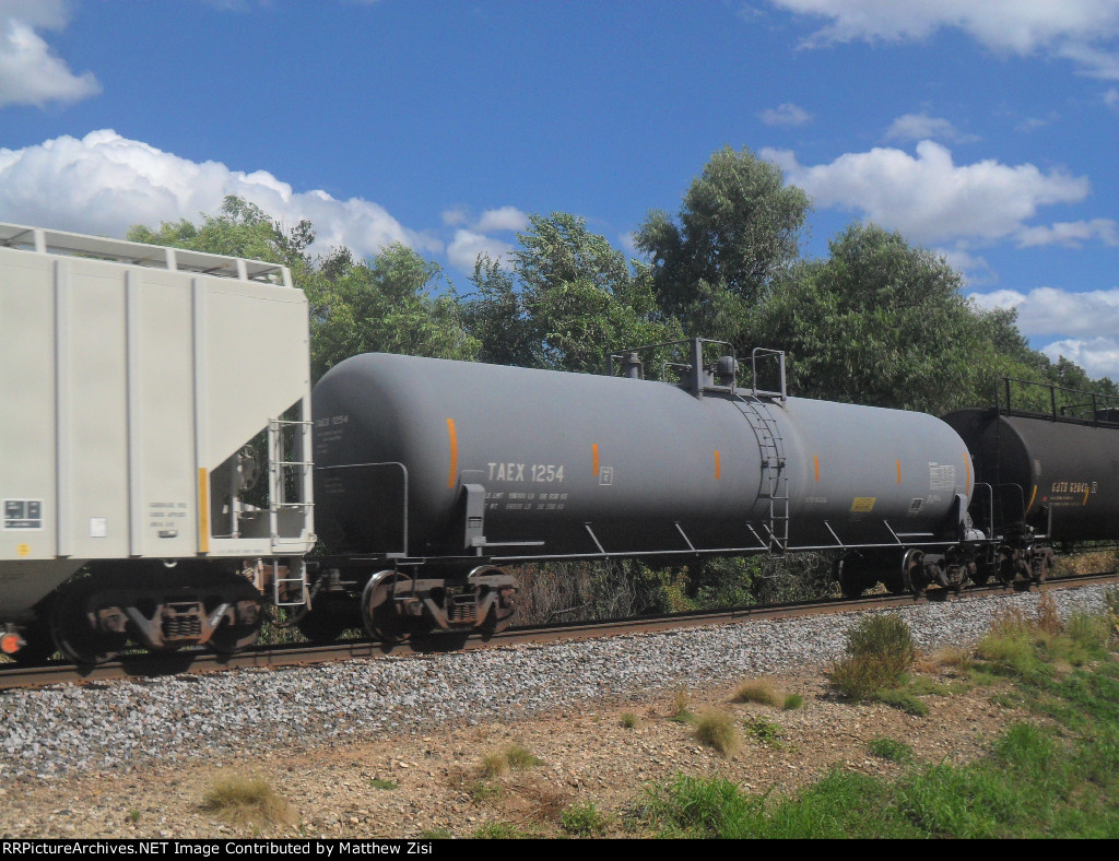 TAEX 1254