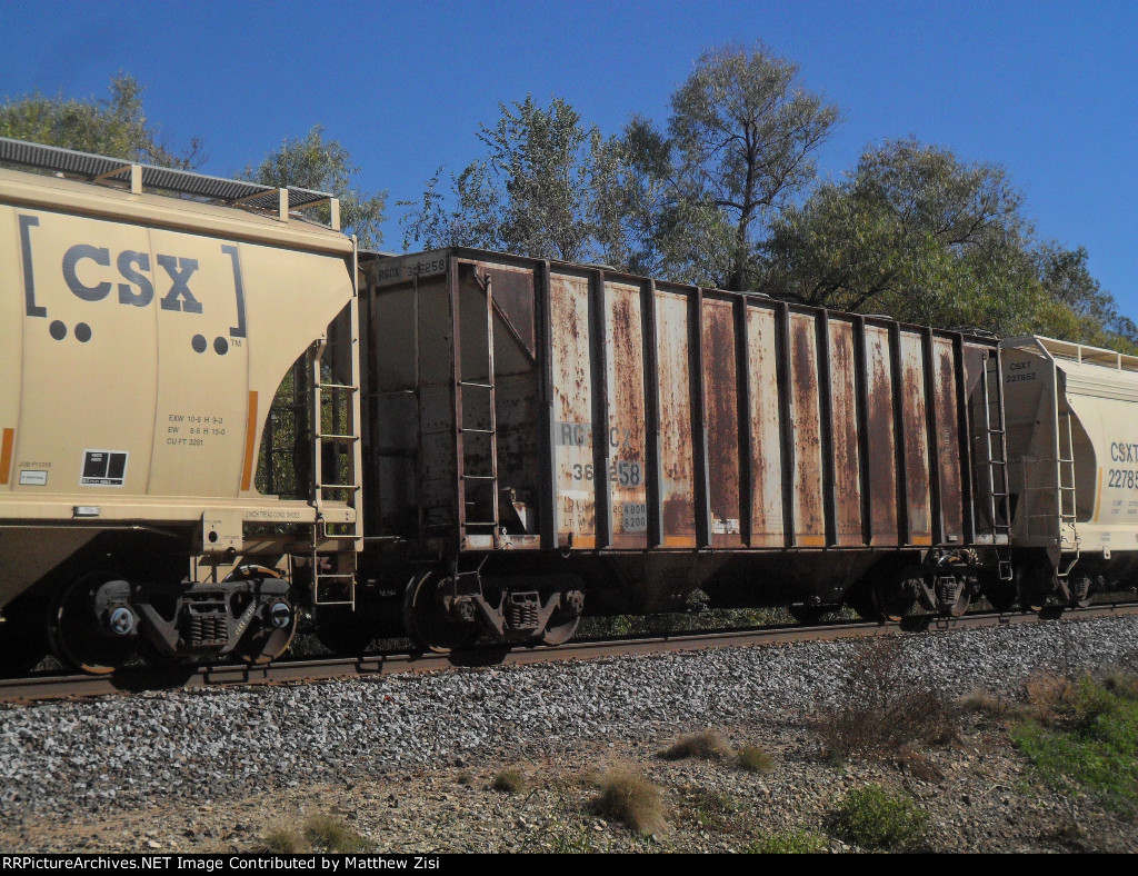 RGCX 36258