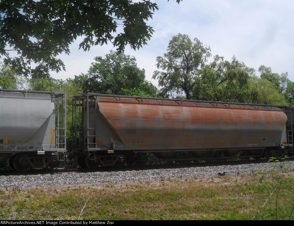 CRDX 11203