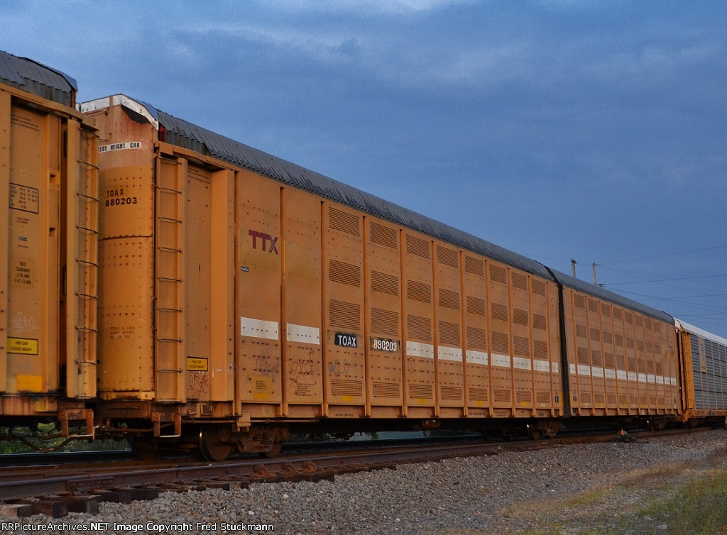 TOAX 880203 is new to rrpa.