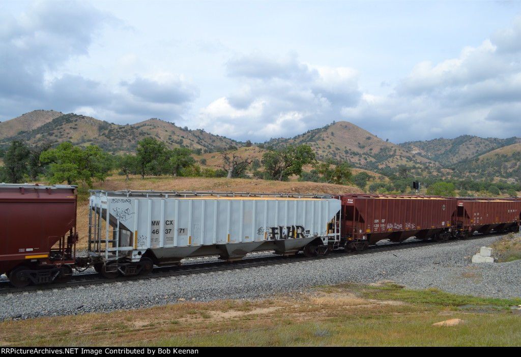 MWCX 463771