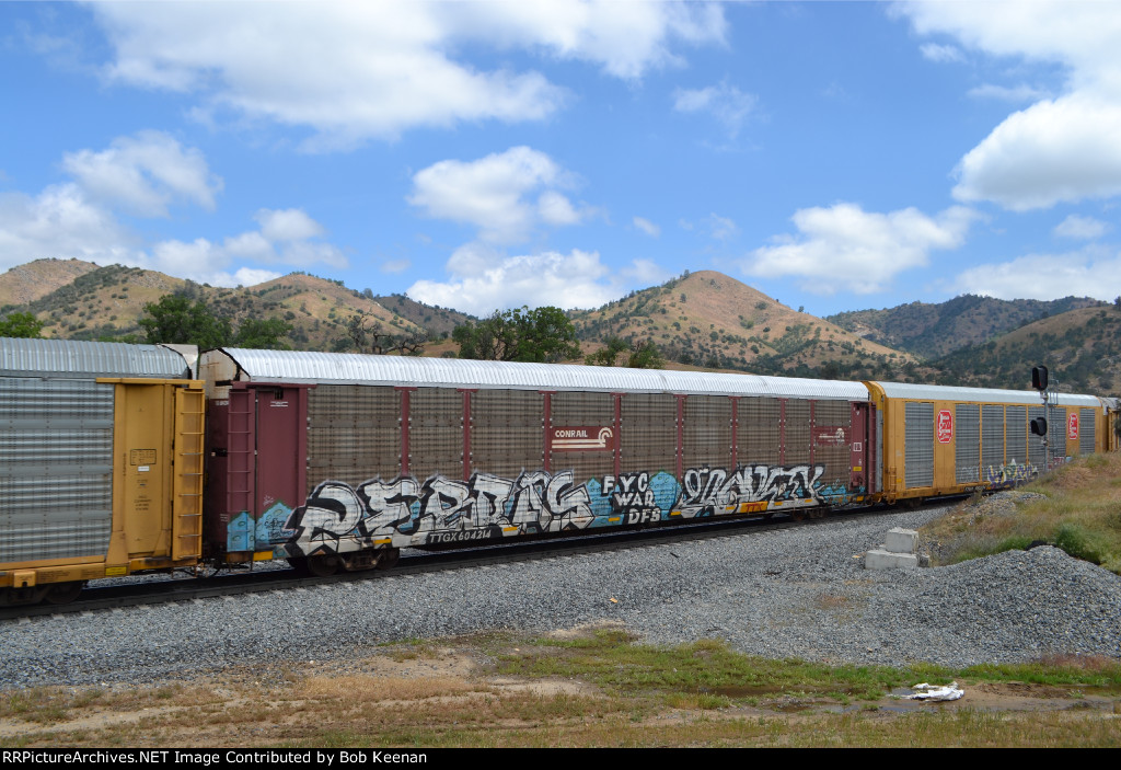 TTGX 604214