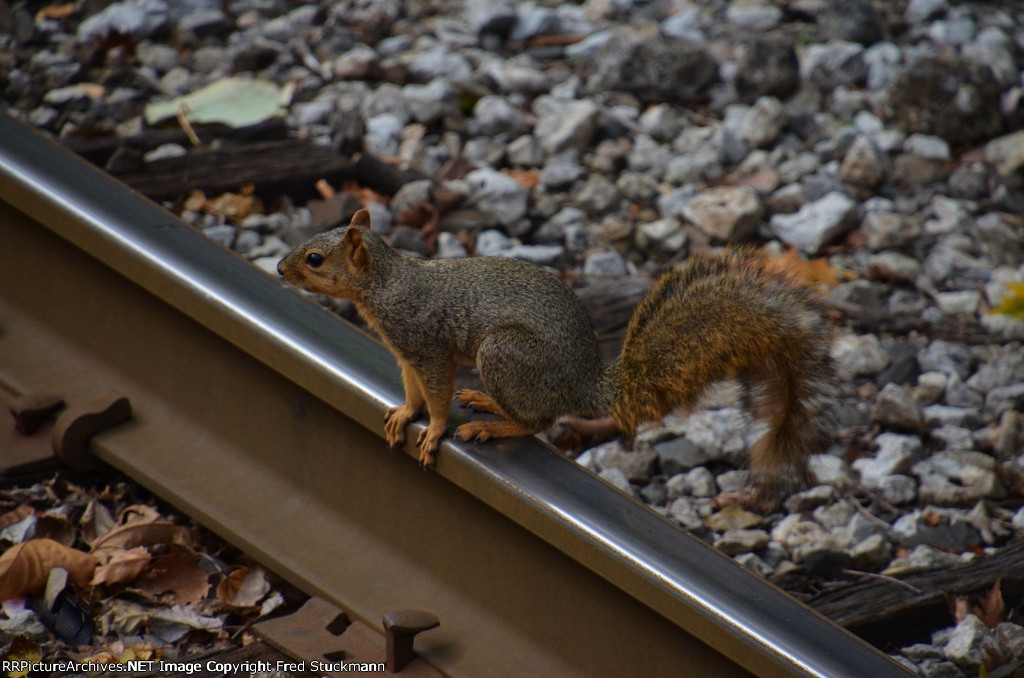 RTA track inspector.