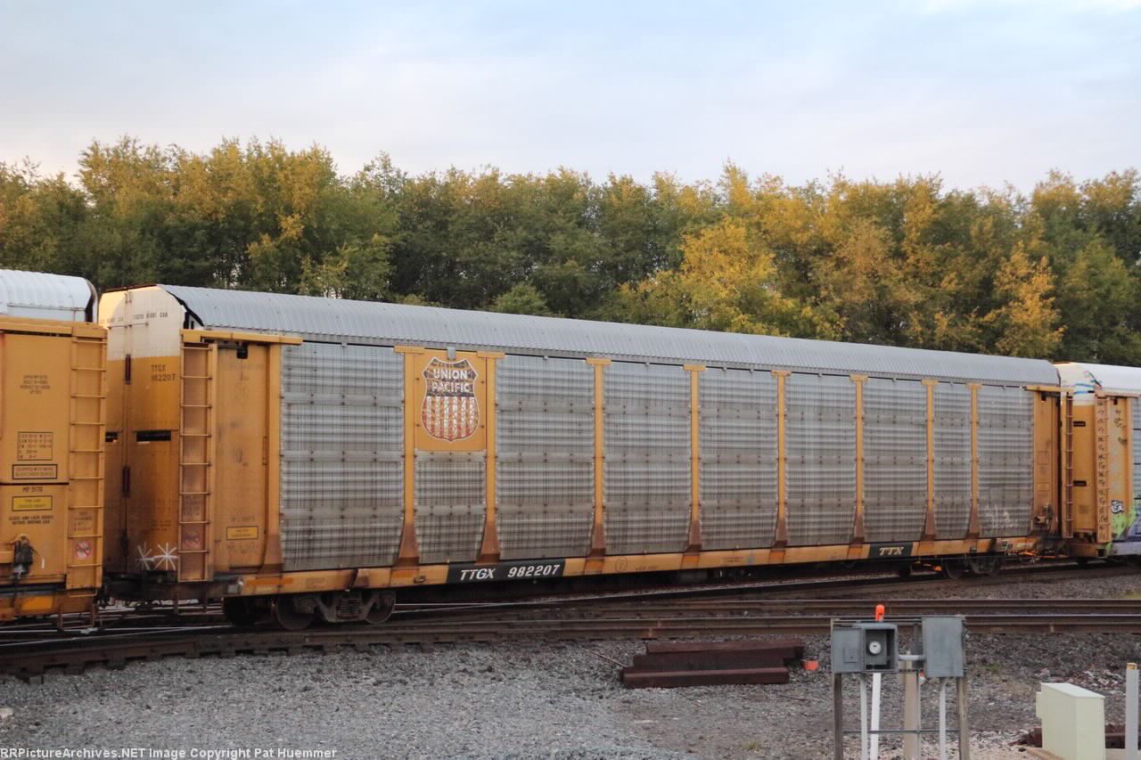 TTGX 982207