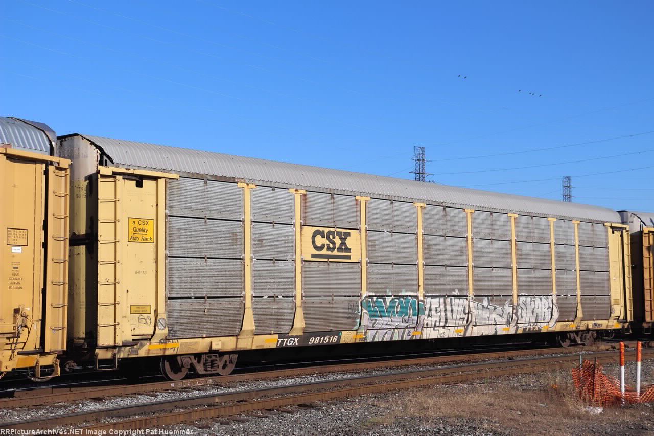 TTGX 981516
