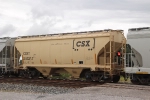 CSX 243317