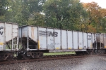 NS 30919