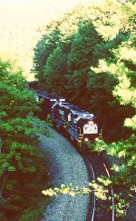 NS P87 about to go under the Mill Creek bridge.