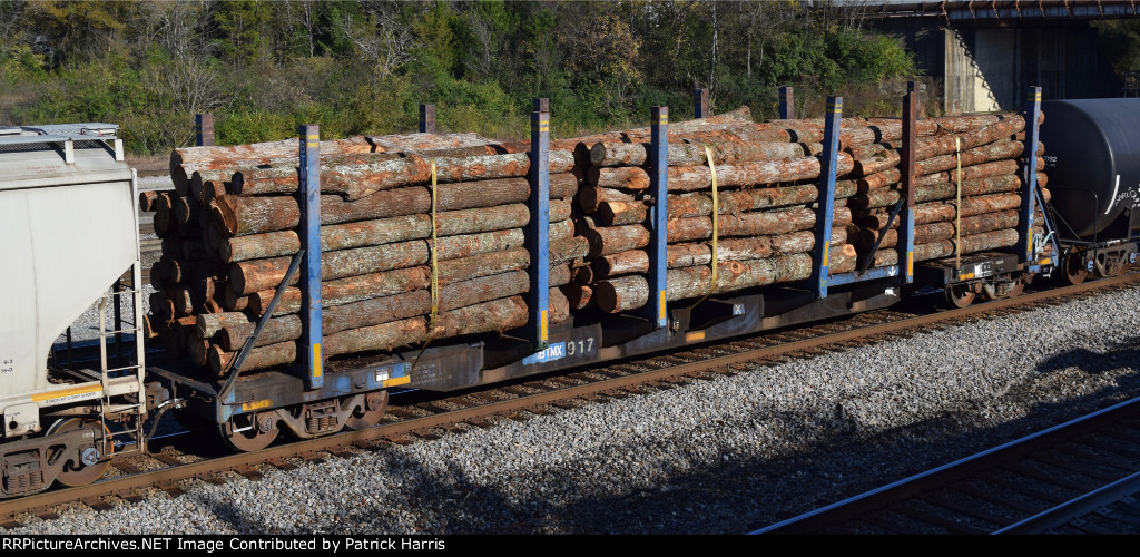BTMX 917 X-GPSX 917 04-1975 built Ortner 65-foot 4-inch skeleton log car with bunkers and log lading at the northe end of NS Debutts Yard in Chattanooga GA 9:21AM 11-10-2017