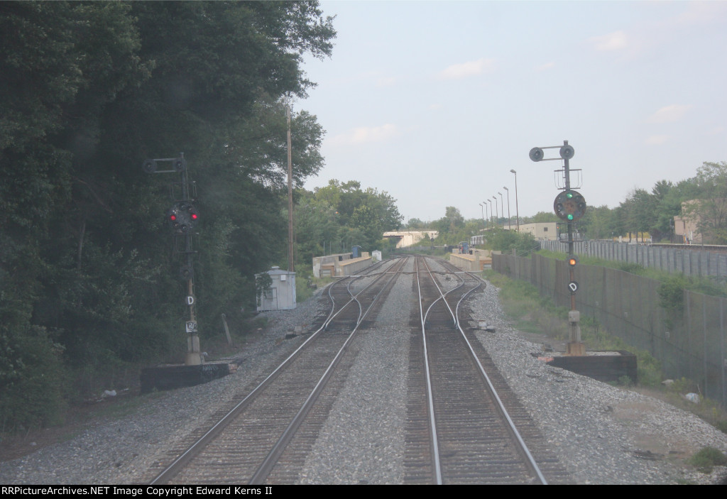 Medium Clear Greenbelt