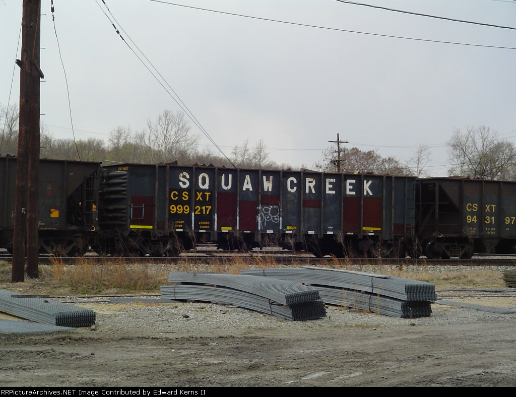 Squaw Creek 999217