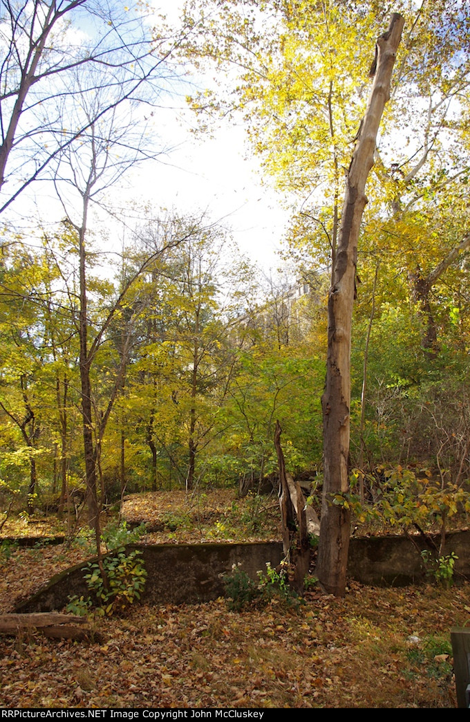 Old station footings  
