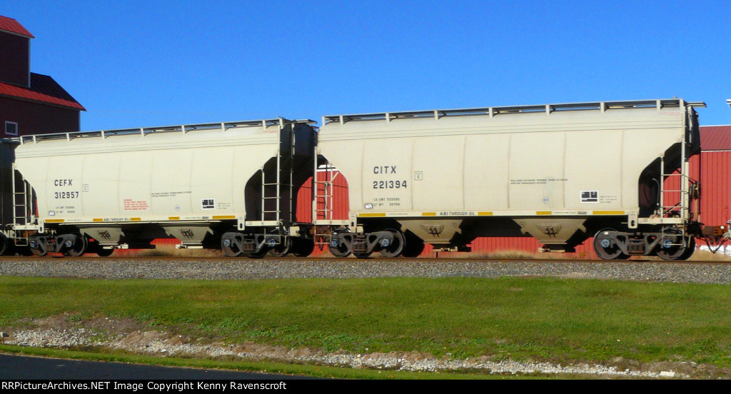 CITX 221394