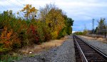Looking northbound along the CSX at Weber Road in Columbus, OH.