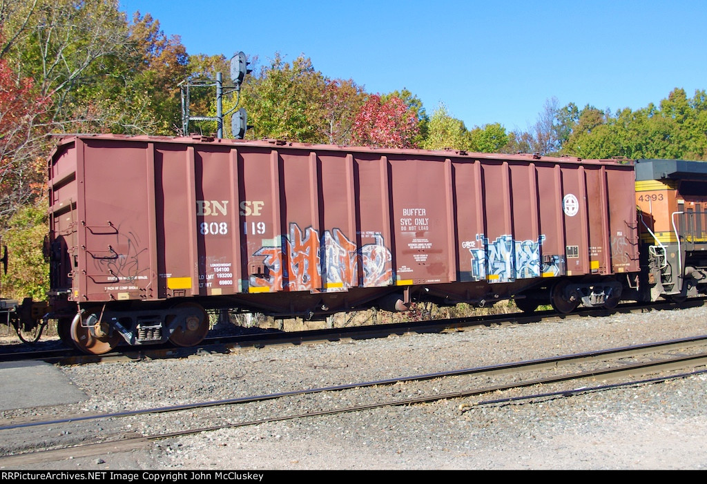 BNSF 808119