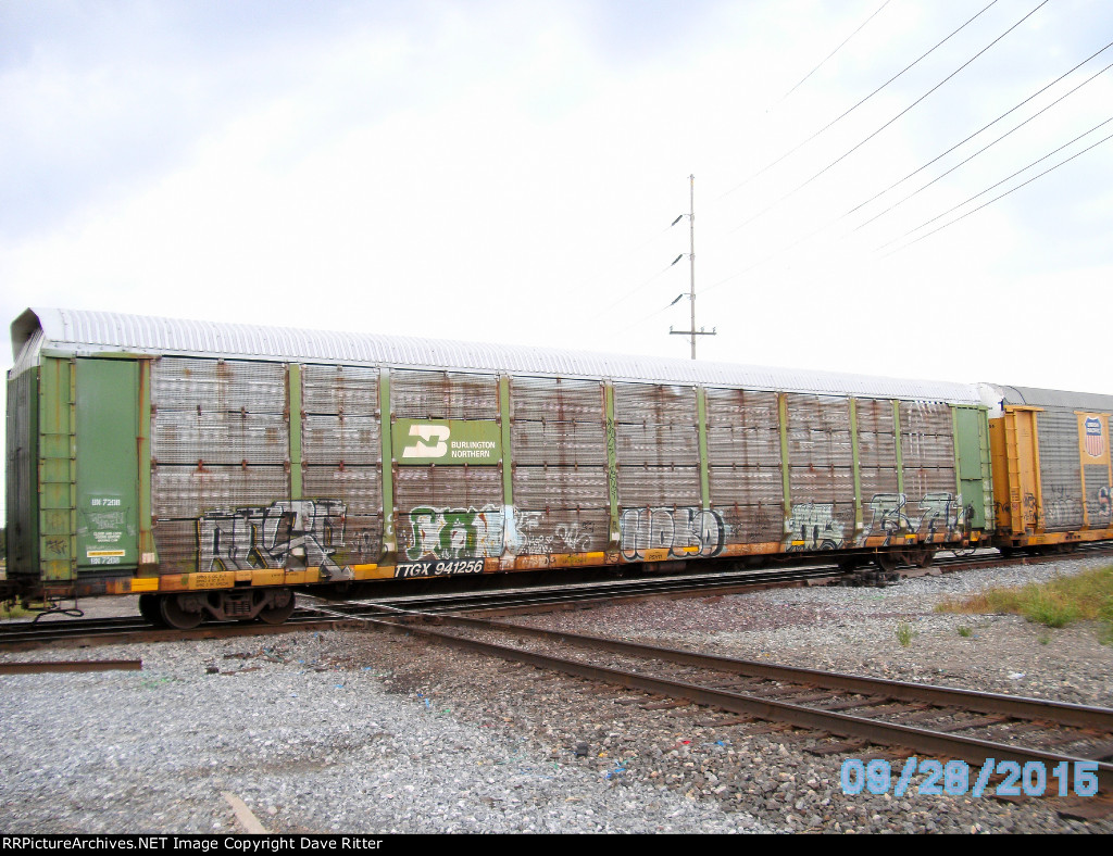 TTGX 941256