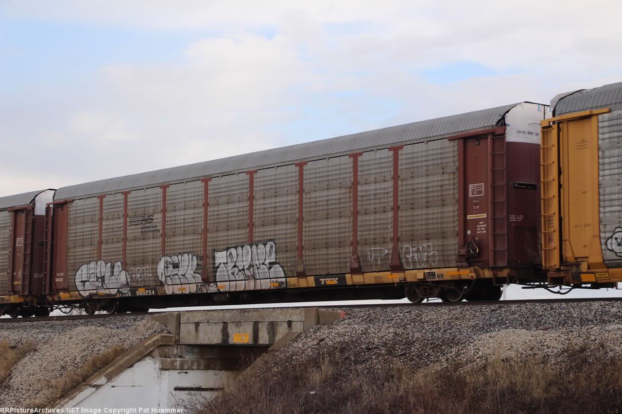 TTGX 980254