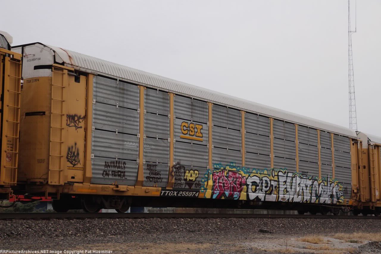 TTGX 255974