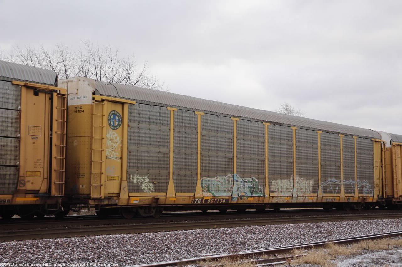 TTGX 987134