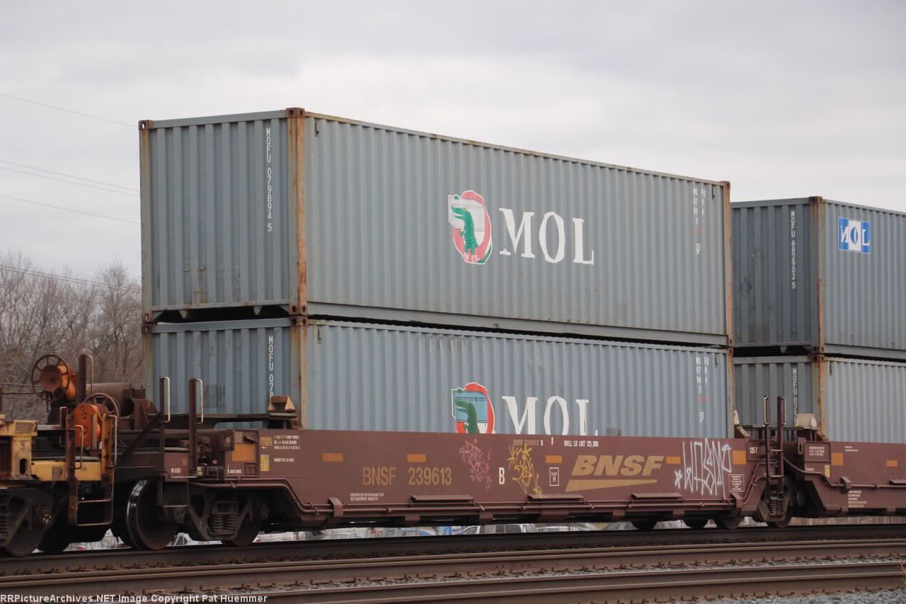 BNSF 239613