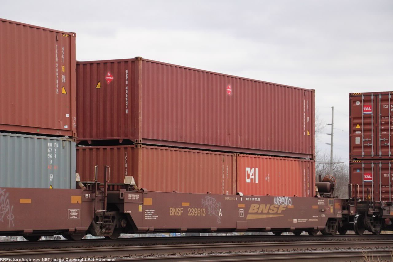 BNSF 239613