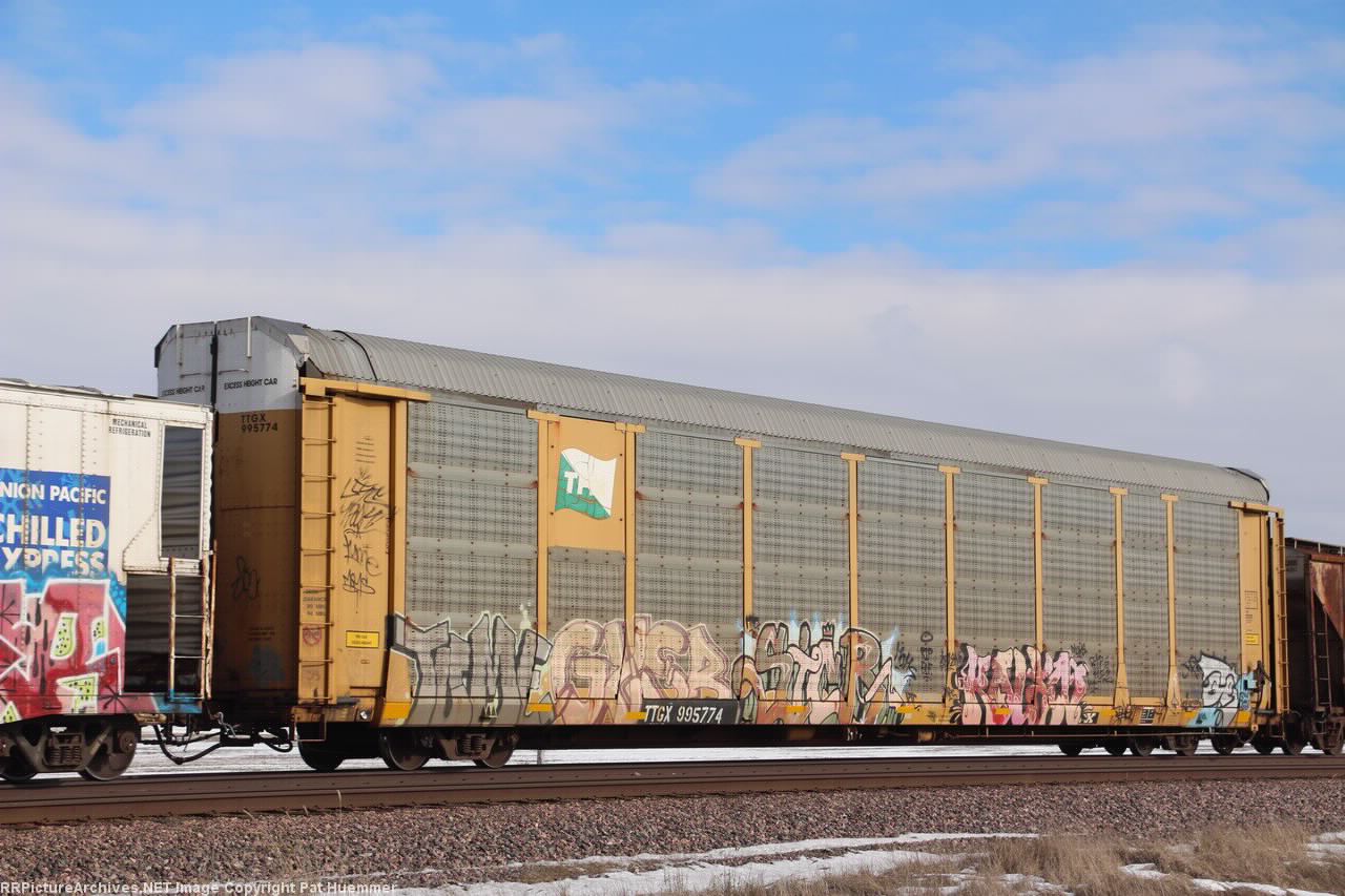 TTGX 995774