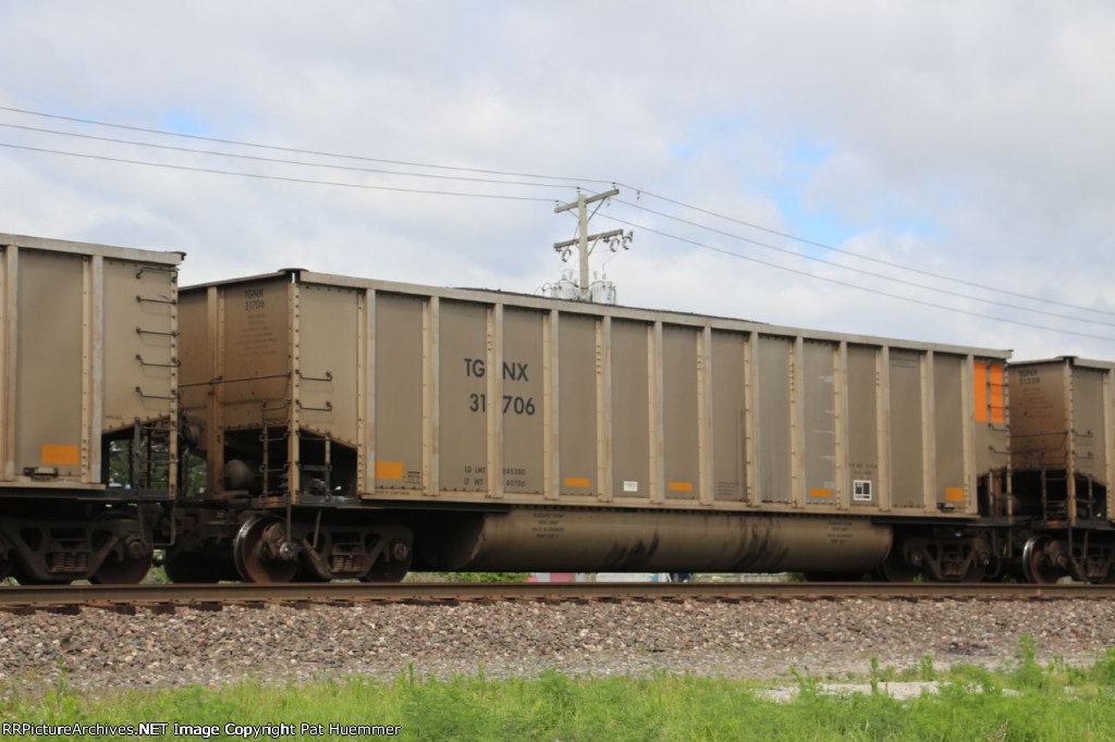TGNX 31706