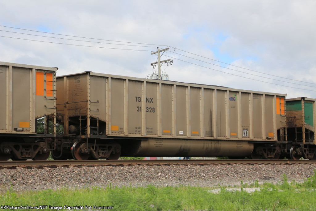 TGNX 31328