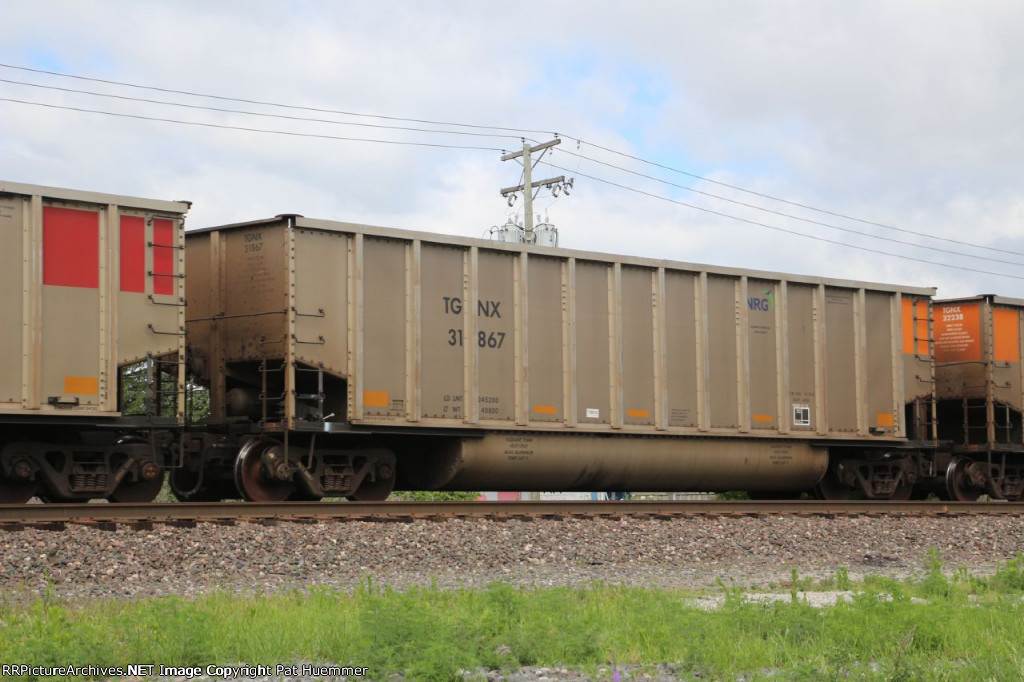 TGNX 31867