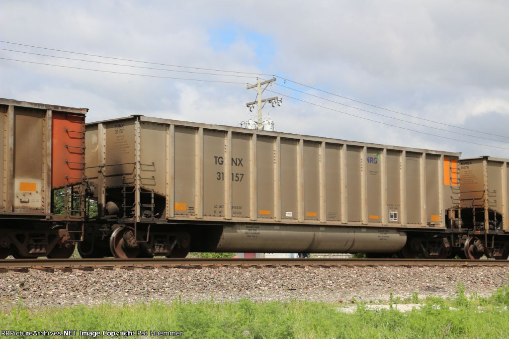 TGNX 31157