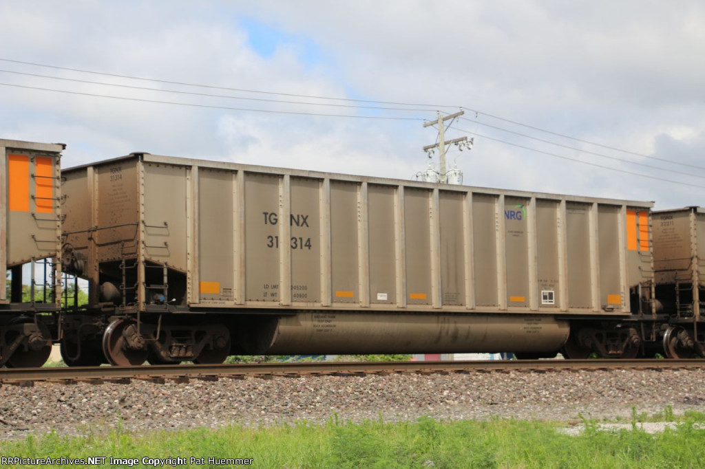 TGNX 31314
