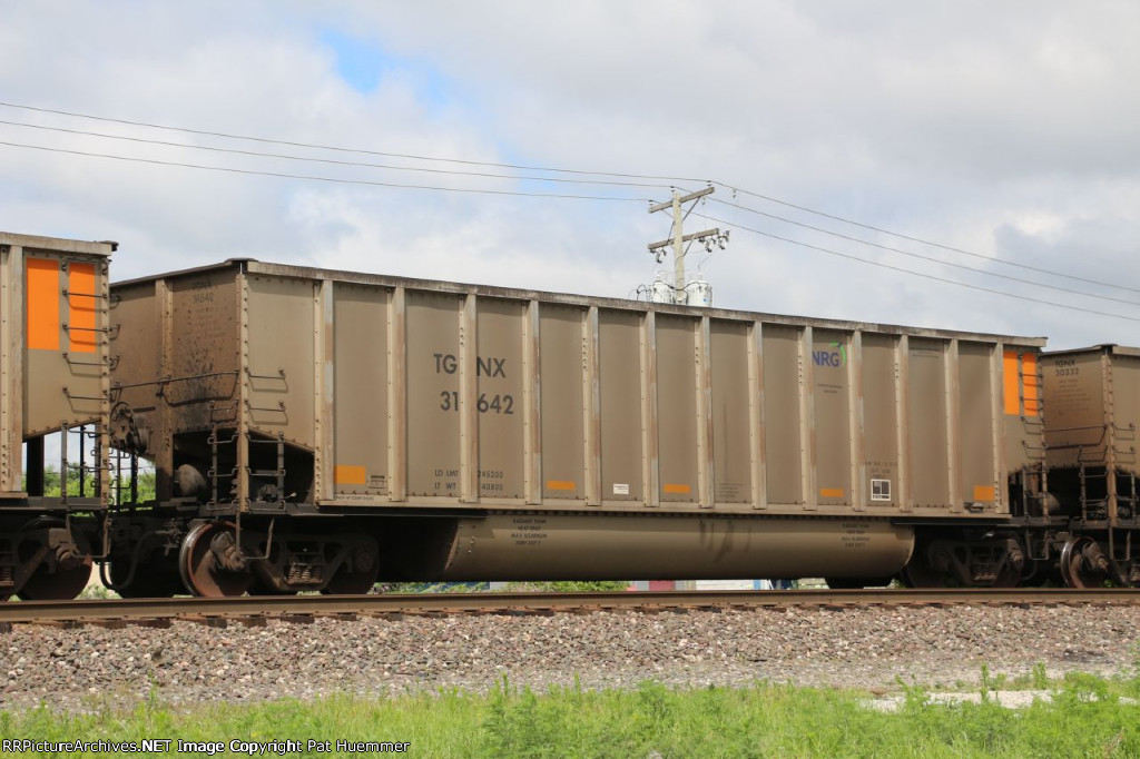 TGNX 31642
